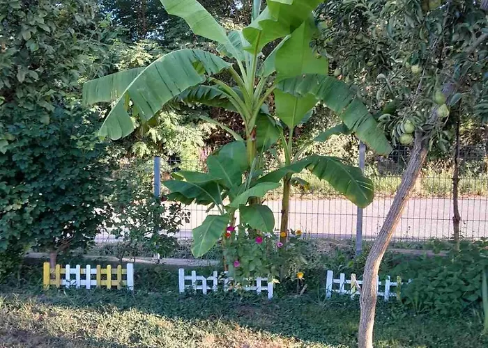 La Simba Apartment *